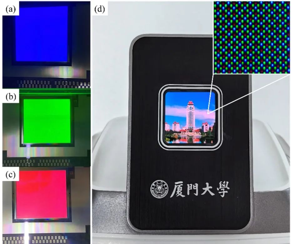 图片6.png